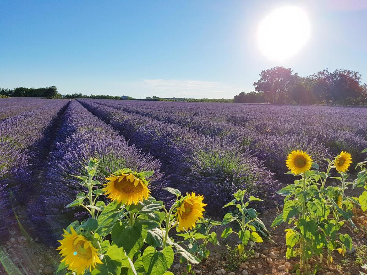 Villa Lavanda Trans-en-Provence Eksteriør bilde